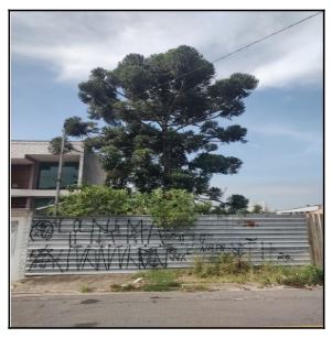 Imóveis Caixa em MAUA