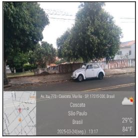 Imóveis Caixa em MARILIA