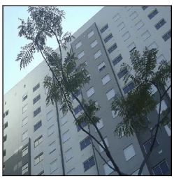 Imóveis Caixa em SAO PAULO